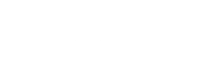 DOM W 5 MIESIĘCY bat psb logo - DOM W 5 MIESIĘCY